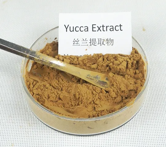 yucca extract yucca extract