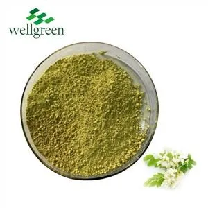 Rutin Powder
