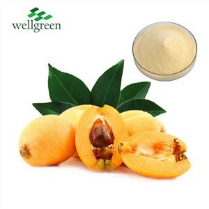 Loquat ekstrakt u prahu