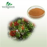 Ekstrakt Rhodiola Rosea