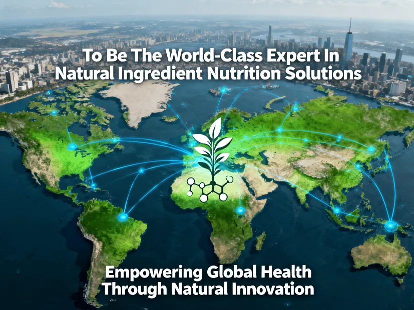 Vision And Mission Vision And Mission