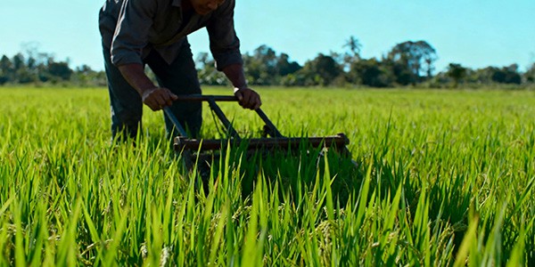 Sustainability Commitments Sustainability Commitments